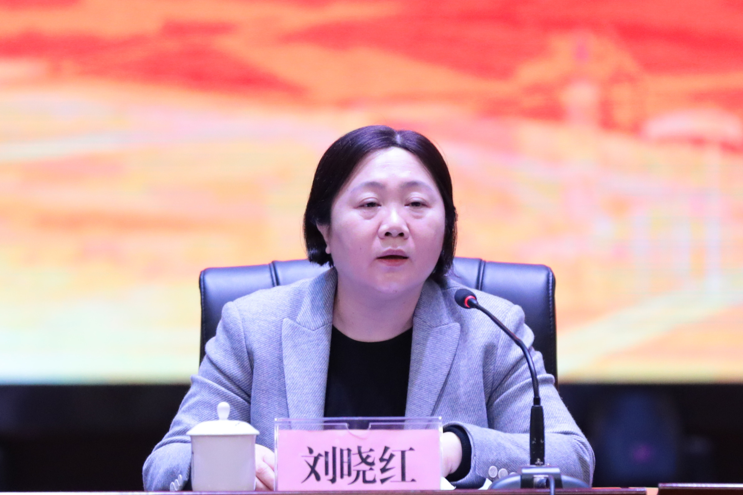 学校党委书记刘晓红讲话